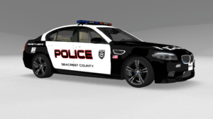 Police_DCT.png