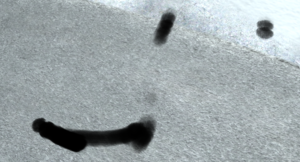 Screenshot_15.png