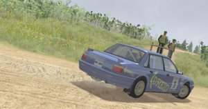 rally.jpg