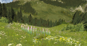 screenshot_00006.png