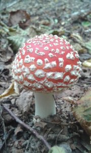 20171007_125316.jpg