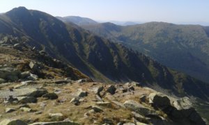 20170831_143651.jpg