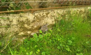 20170615_164343.jpg