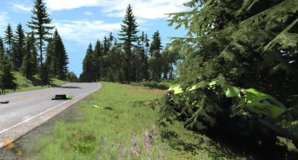 Tree_Crash_003.jpg
