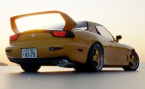 RIMS15.jpg