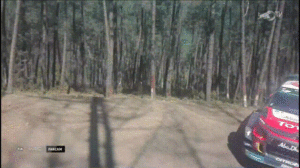 Desktop05192018-23391402_gif.gif