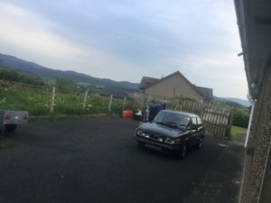 85D7B675-6C7E-46B4-BD25-54940222AE25.jpeg