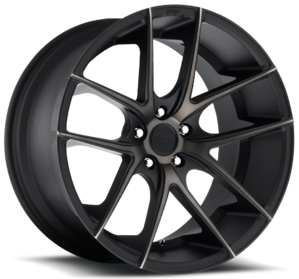 Niche_Targa-BDT-1000.png