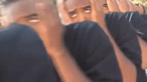 4965481.gif