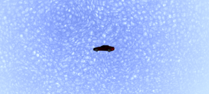 Untitled.png