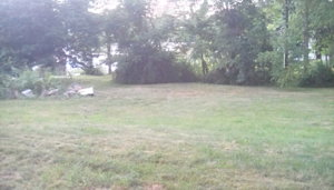 IMG_20180708_202918_hdr.jpg