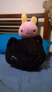 bunnyCat.jpg