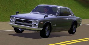 ts3.JPG