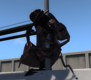 pigeon1.png
