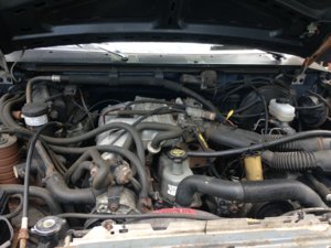 IMG_1198.jpg