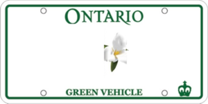 user_license_plate_background_d.png
