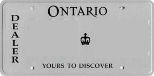 user_license_plate_background_d.png