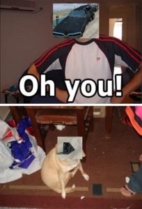 oh-you-original.jpg
