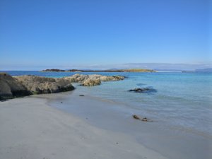 IMG_20170725_164256.jpg