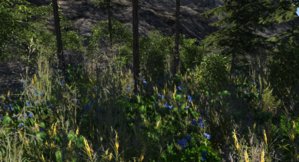 screenshot_00001.jpg
