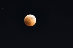 DSC_0011.jpg