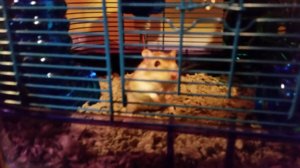 20180805_1946311.jpg