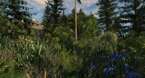 Vegetation2.jpg