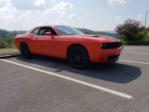 20180827_160306.jpg