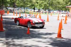 IMG_5962.jpg