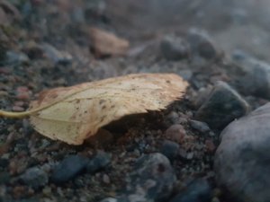 20180914_200208.jpg