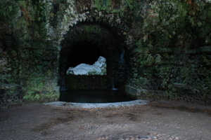 DSC_8520.jpg