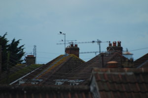 DSC_8403.jpg