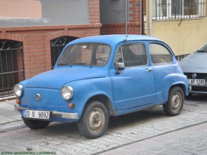 8359341.jpg