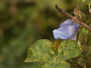 PICT3010.jpg