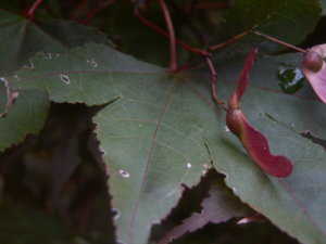 PICT3034.jpg