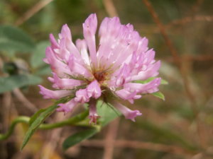 PICT3005.jpg