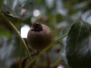 PICT3038.jpg