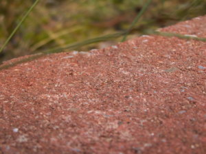 PICT3048.jpg