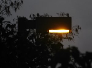 DSCN1063.jpg