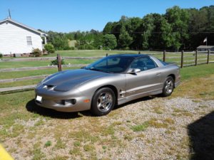 my firebird1.jpg