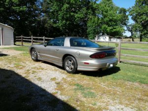 my firebird2.jpg