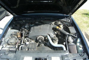 30651740015_large.jpg
