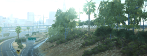 PIC1.png