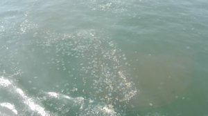 IMG_20180807_130722.jpg