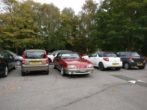 IMG_20181007_114504.jpg