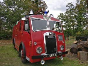 IMG_20181007_135442.jpg