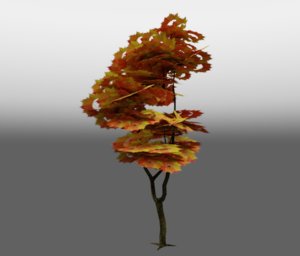 tree2.jpg