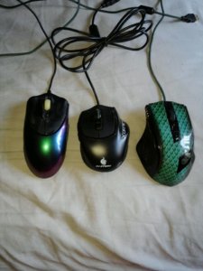 3 blind mice.jpg