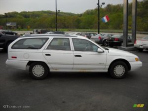 49305065.jpg
