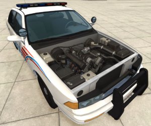 police.jpg